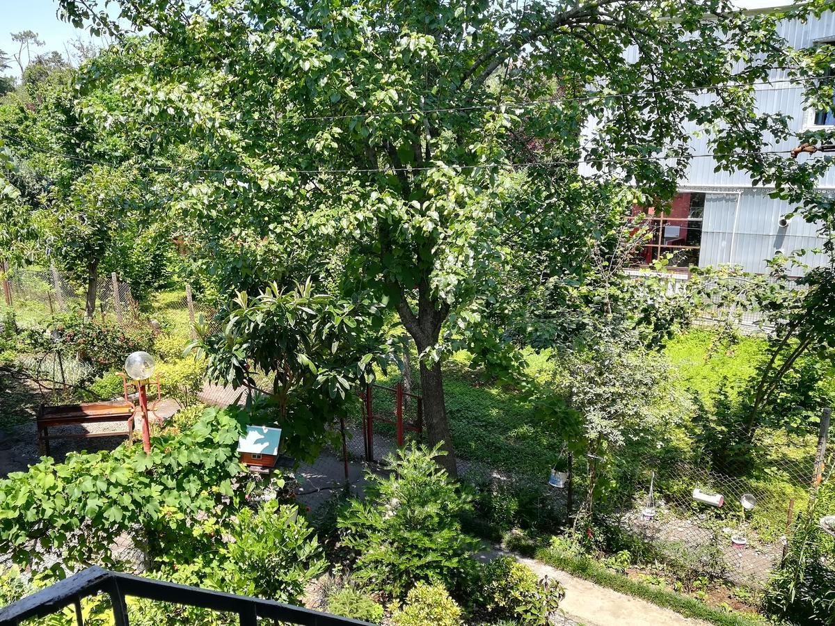 Guest House Of Givi Kobuleti Luaran gambar